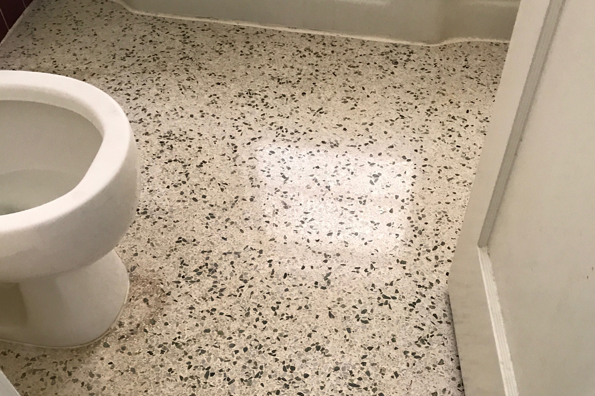 Terrazzo Floor Polishing