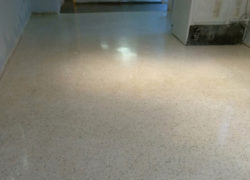 Terrazzo Clean Process