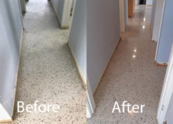 Terrazzo Cleaning