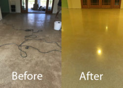Terrazzo Cleaning Service