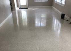 Terrazzo Floor Clean