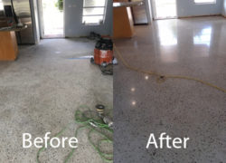 Terrazzo Polishers