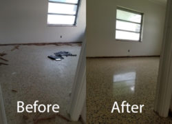 Terrazzo Repair and Polishing