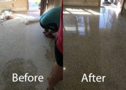 Terrazzo Repair Cleaning